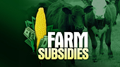 Farm Subsidy Reform: Major Economies in WTO Spotlight