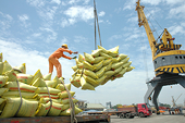 VN: Agriculture exports reach $15b in 2016