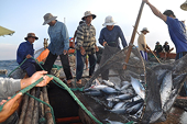Fisheries subsidies: India wants WTO to provide relief to small fishermen
