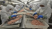 VN: Seafood sector urges gov’t help