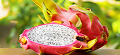 VN poised to export dragon fruit to Australia, Japan