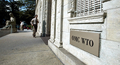 WTO Urges Member States to Cut Protectionism, Increase Global Trade