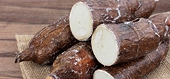 VN: Cassava exports fall with China demand