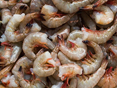 Revised anti-dumping duties will shift global shrimp trade