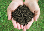 VN: Imports hurting domestic fertiliser producers
