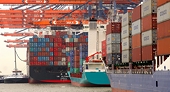 Japan follows U.S., EU lead, will treat China as non-market economy under WTO rules