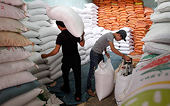 VN experts call for a rice export reduction