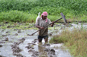 Reduced non-tariff barriers could boost Sri Lanka’s agriculture exports