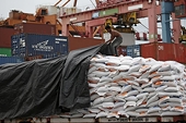 WTO rules against Indonesia in food import barriers case