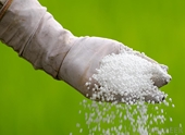 US Remove Antidumping Duties on Russian Urea and Ammonium Nitrate