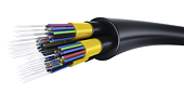 China Extends Anti-dumping Tariff on Korean-made Optical Fiber for 5 More Years