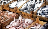 VN: Seafood sector aims high despite barriers in international market