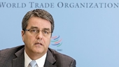WTO head says turning to protectionism won't solve problem