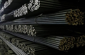 Russia's biggest steelmaker NLMK can withstand anti-dumping duties