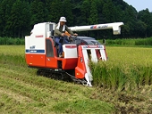Japanese Agriculture Enjoys "High Level" of Protection