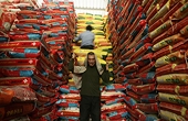 These Are the Six Biggest WTO Disputes You Need to Care About