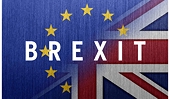 Settle Brexit bill quickly to boost chance of free trade deal, say pro-EU Tories