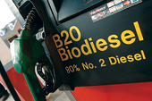 Dumping complaint could kill Argentine biodiesel exports