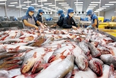 Vietnamese catfish exporters gear up for US inspections