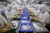 VN exporters updated on US import regulations