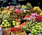 VN eyes more fruit exports to Japan