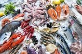 Vietnam’s aquatic product growth likely to be challenged in 2017