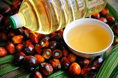 Indonesia ready to clarify palm oil ban issue: Minister Hartarto