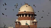 No entity can be allowed to avoid anti-dumping duty: Supreme Court