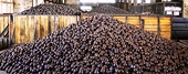 Anti-dumping duty to continue on grinding media balls from Thailand, China: DGAD