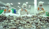 ​Vietnamese shrimp exporters struggle to compete in US