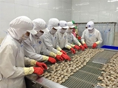 Vietnamese shrimp exported to US to face slightly higher duty
