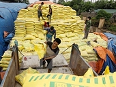 Vietnam to impose temporary safeguard measures on imported fertiliser