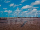 Economy No anti-dumping duties on VN wind towers: Australia