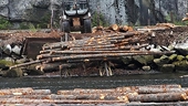 With no U.S.-Canada deal, lumber talks to run parallel to NAFTA
