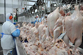 Brazil's ABPA hires two law firms to fight China chicken antidumping case