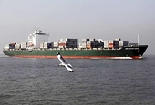 Worldwide: Subsidies And Overcapacity: Recent Developments At The G20 And The WTO