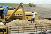 WTO panel set up on import quotas