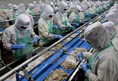 EU issues yellow card warning to Vietnam over fisheries exploitation