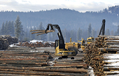 Canadians face new tariffs after US softwood ruling