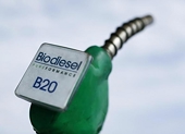 Indonesia Hit by US Anti-Subsidy Duties & Loses WTO Appeal