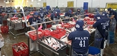 Tra export value rises, firms cautious
