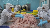 Vietnam files complaint to WTO about US anti-dumping duties on fish