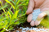 Vietnam imposes safeguard measures on imported fertilisers