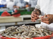US hikes anti-dumping duty three-fold on Indian shrimps, exporters in tizzy