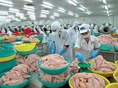 Record high tariffs threaten Vietnam's pangasius exports to US