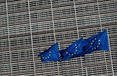 EU faces biodiesel import surge after anti-dumping duty ends