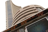 IPO plans of shrimp exporters face headwinds