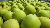 Mexican tariffs hit US apple exports, predominantly affecting Washington growers