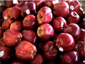 India decision to increase tariff on apples to hit US growers, say Congressmen