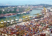 India: DGAD to Hold Oral Hearing of Anti-Dumping Investigation into Solar Imports of EVA Sheets